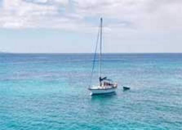 Jamaica Sailing Adventures logo