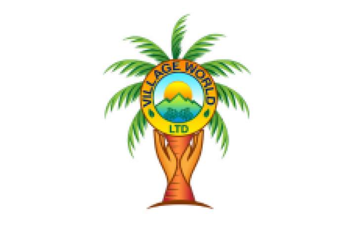 Village World Limited logo