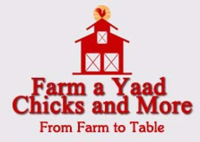 Farm a Yaad Chicks and More logo