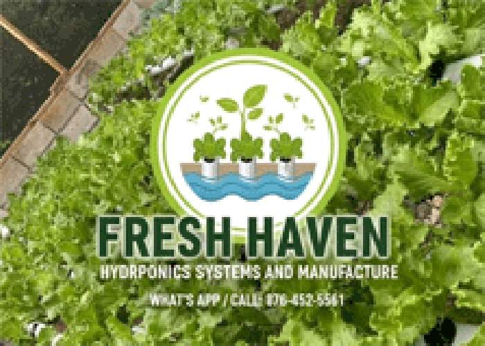 Fresh Haven Hydroponic logo