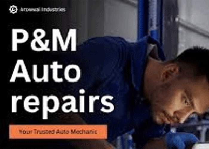 P&M Rack and Pinion Repairs logo