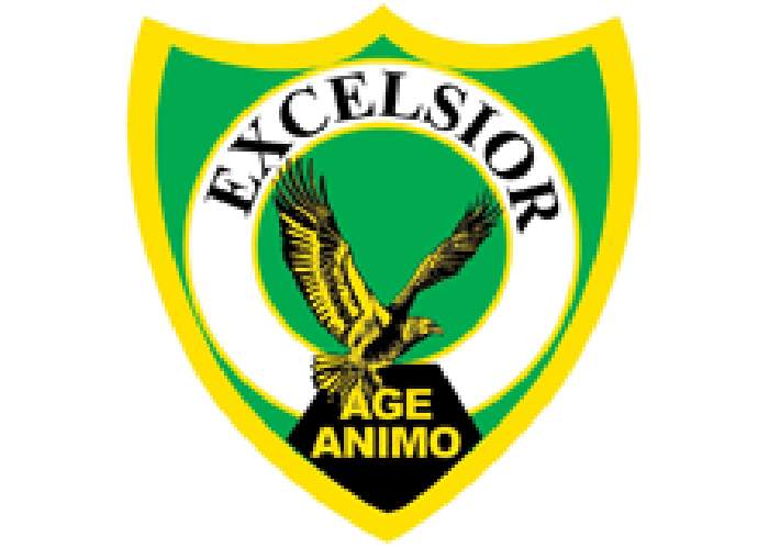 Excelsior High School logo