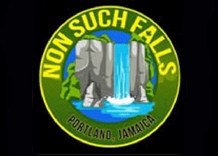 Nonsuch Falls logo
