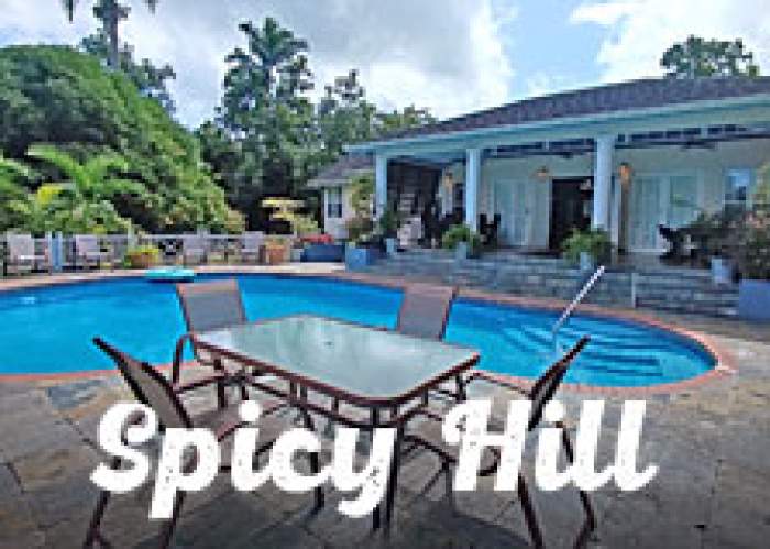 Spicy Hill Villa logo