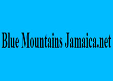 Blue Mountains logo