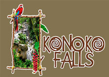 Konoko Falls logo