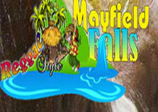 Reggae Style Mayfield Falls logo