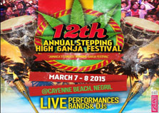 Stepping High logo