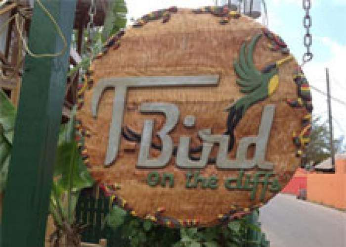 T-Bird on the Cliffs logo