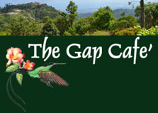 The Gap Cafe logo