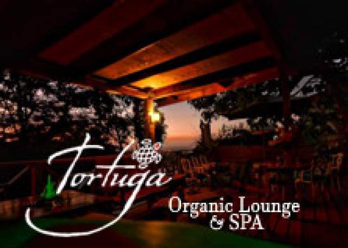 Tortuga Organic Lounge logo