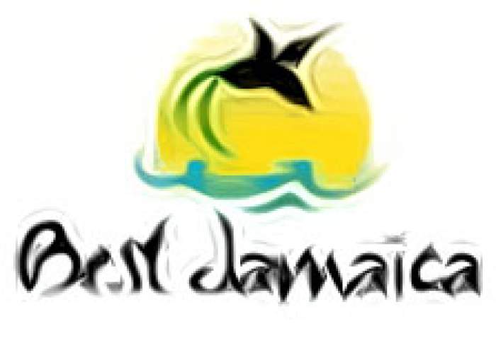 Best Jamaica Airport Taxi and Tours logo