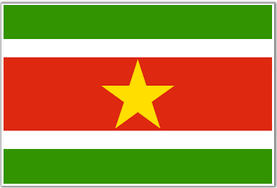 Consulate of Suriname logo