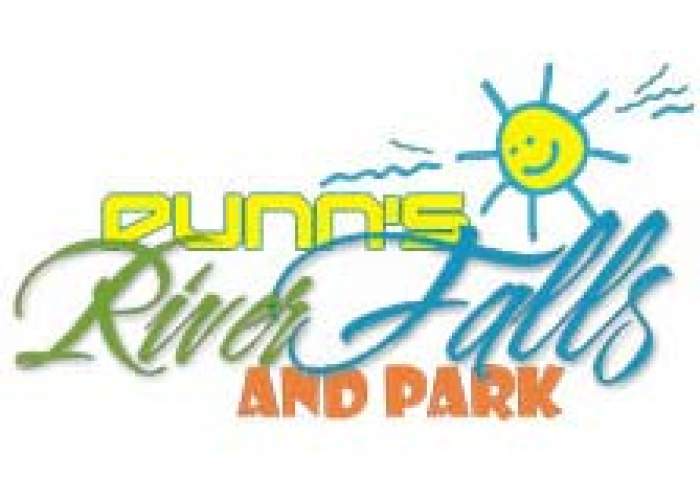 Dunn's River Falls  logo