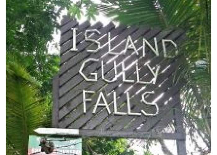 Island Gully Falls logo