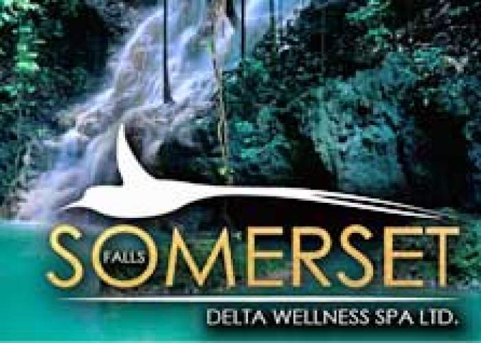 Somerset Falls logo