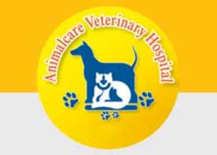 Animalcare Portmore logo