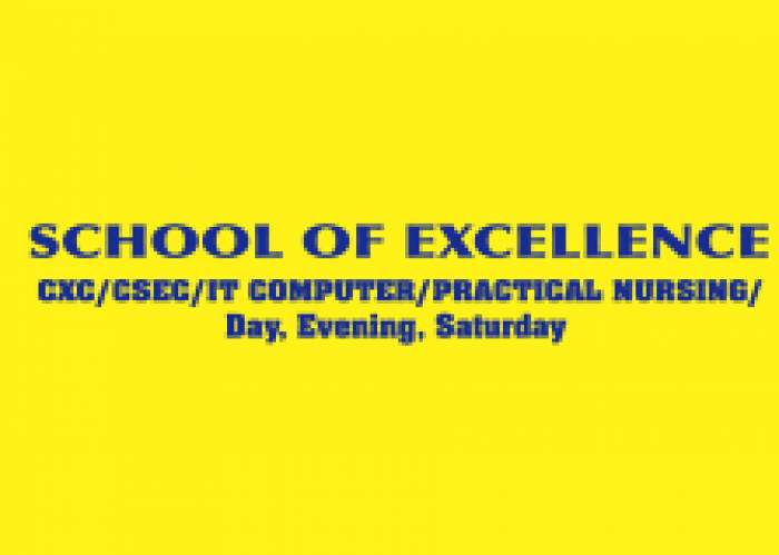 School Of Excellence logo