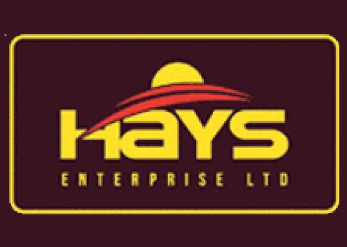 Hay's Enterprise Ltd logo