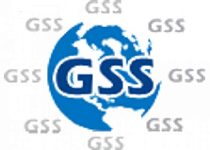 Global Systems Source Ltd logo