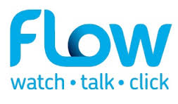 FLOW logo