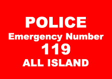 Police Emergency logo