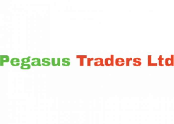 Pegasus Traders Ltd logo