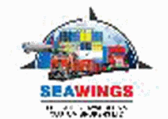 Seawings Freight Forwarders & Custom Brokers logo