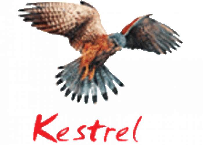 Kestrel Liner Agencies Ltd logo