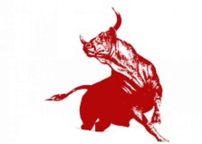 Bull Investments Ltd logo