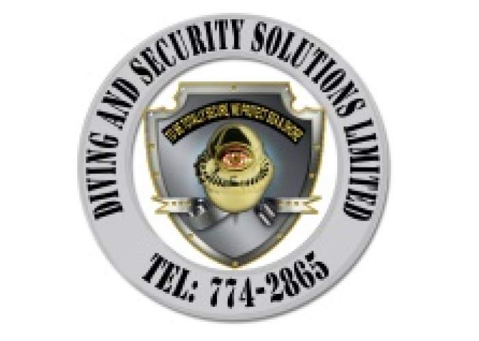 Diving And Security Solutions Ltd logo