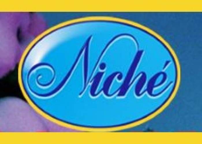 Niche Financing Ltd logo