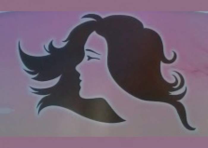 First Lady Hair, Hair Products And Cosmetics logo