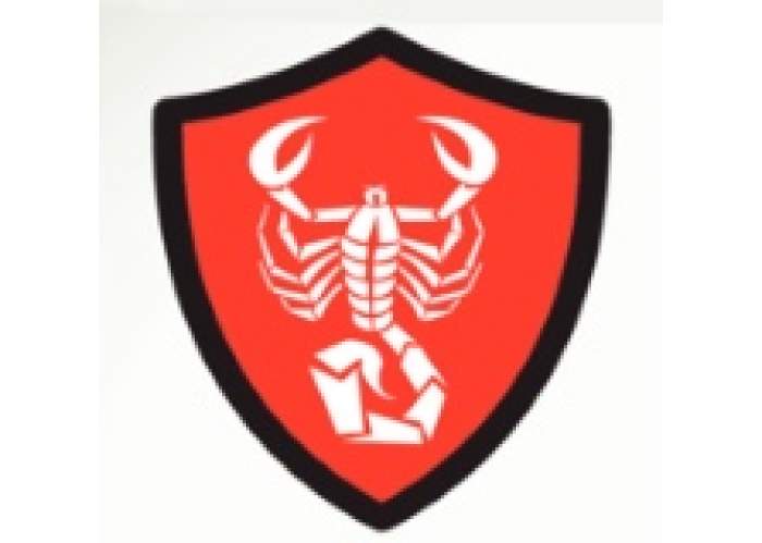 Sting Protection Service Ltd logo