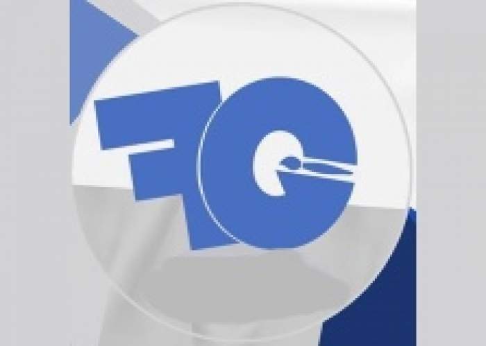 Flavatouch Graphics logo