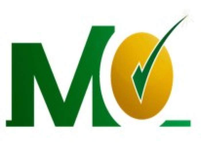 Modern Options Limited logo