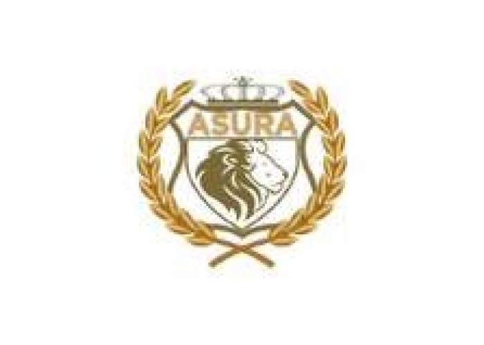 Asura Security Company Ltd logo