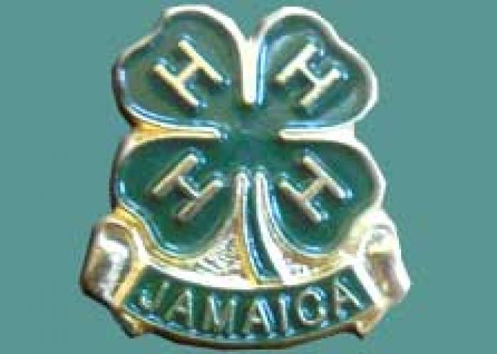 Jamaica 4-H Clubs logo
