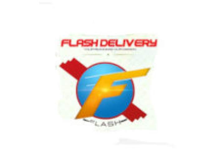 876 Flash logo