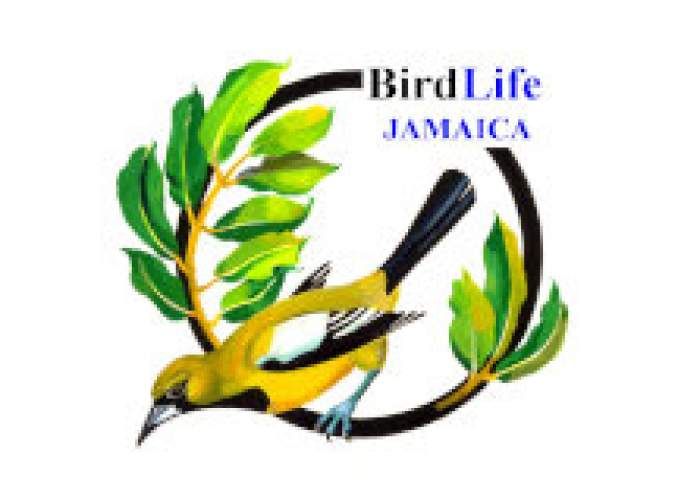 BirdLife Jamaica logo