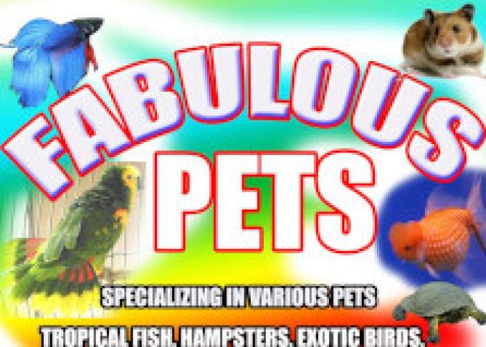 Fabulous Pets logo