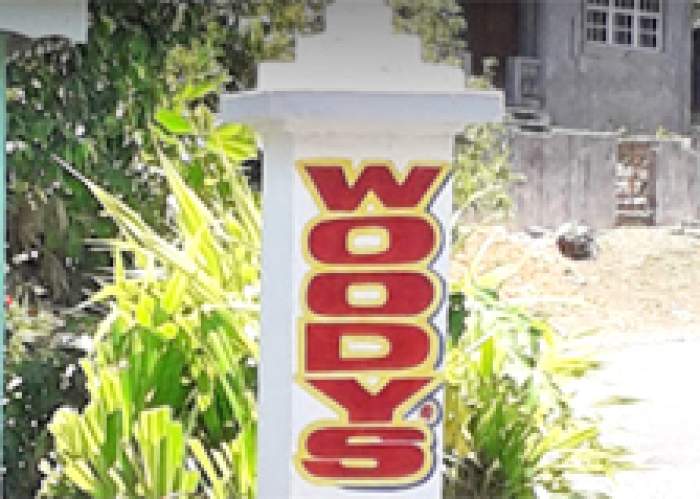 Woody's Low Bridge Place logo