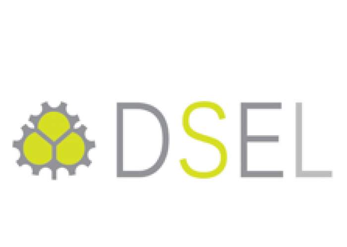 Diversified Services & Equipment Ltd (DSEL) logo