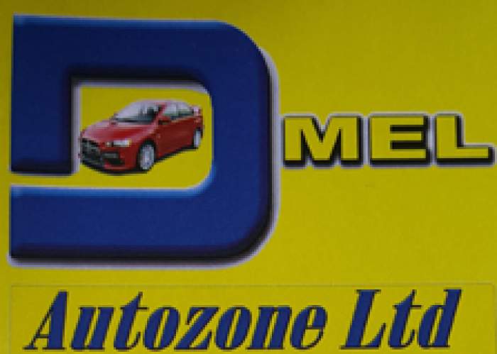 Dmel Auto Zone Ltd logo