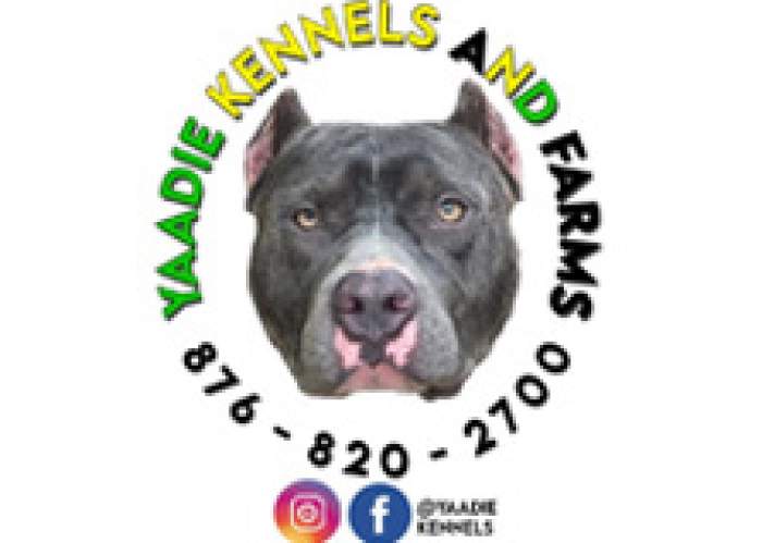 Yaadie Kennels logo