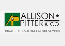 Allison Pitter & Co logo