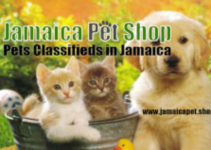 Jamaica Pet Shop logo