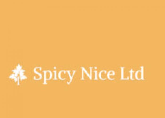 Spicy Nice Ltd logo